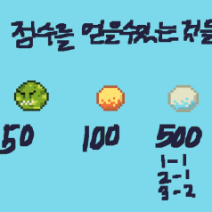 점수 시스템